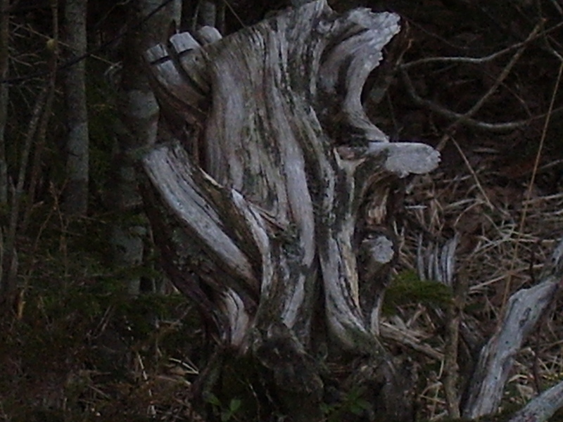 Omgivning__462_