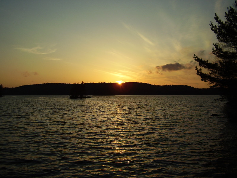 Omgivning__530_